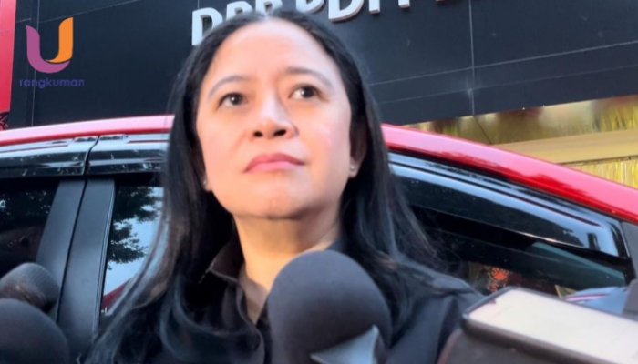 POTRET. Ketua DPP PDI-P, Puan Maharani saat diwawancarai oleh awak media beberapa waktu lalu (Dok. Istimewa/Rangkuman.net)